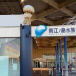 【新江ノ島水族館デート】おすすめポイントと実際に楽しめたデートプランを徹底解説！